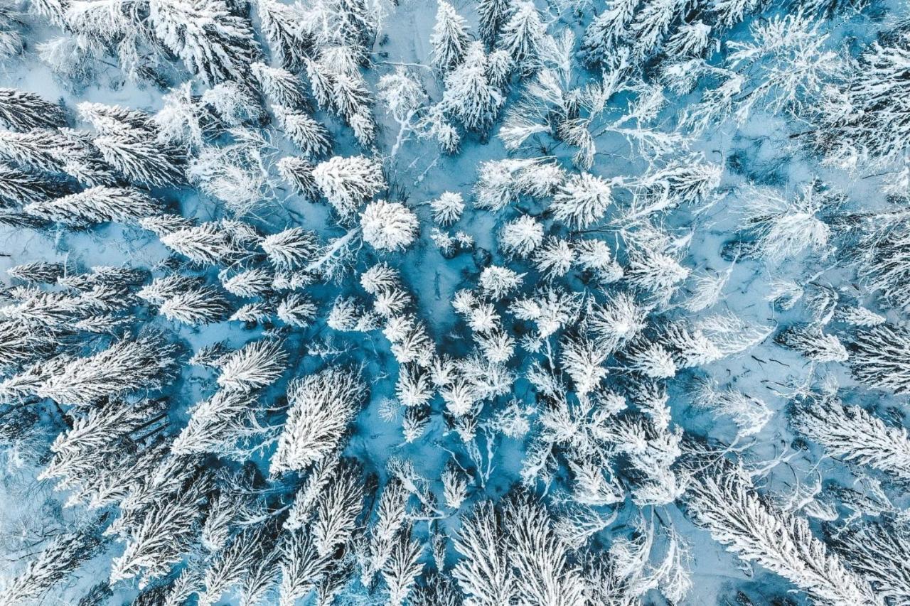 Chalet Azalee, Montriond, Morzine, Avoriaz Kültér fotó